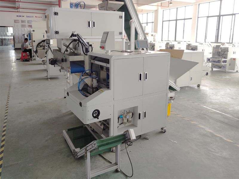 Dual Head Dry Food Packing Machine
